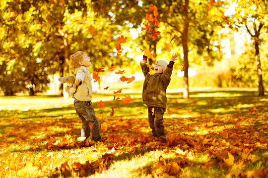 Autumn