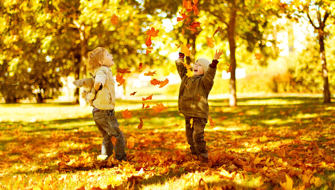 Autumn