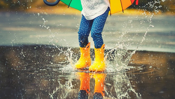 Rain