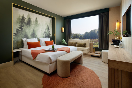 Deluxe Rooms