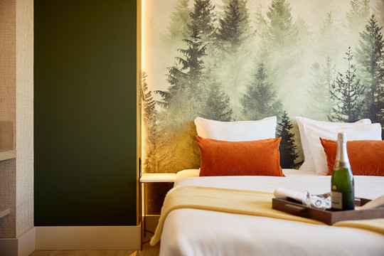 Deluxe Rooms